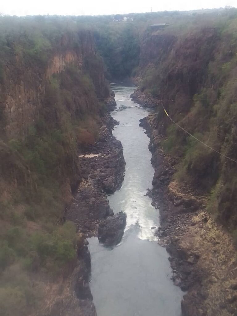 IMG-20250506-WA0098