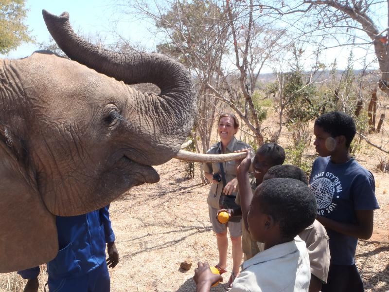 Wildlife Interaction